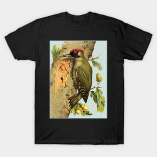 European green woodpecker - Picus viridis. T-Shirt